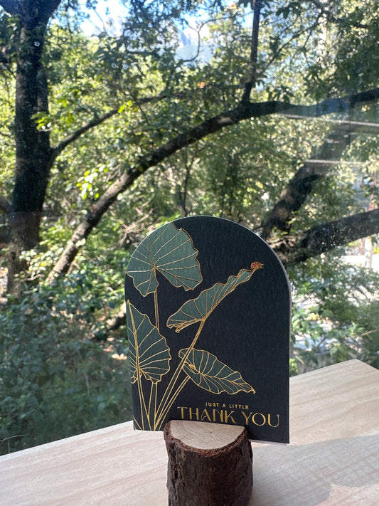 TARJETA MINI JUNGLE CLUB