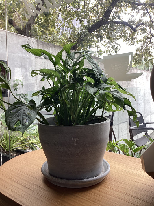 Maceta Trinitate Gris Plomo