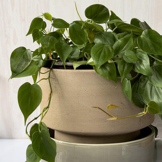 Maceta Italiana Bergs 30 cm Barro Gris/plato Gris Glaceado