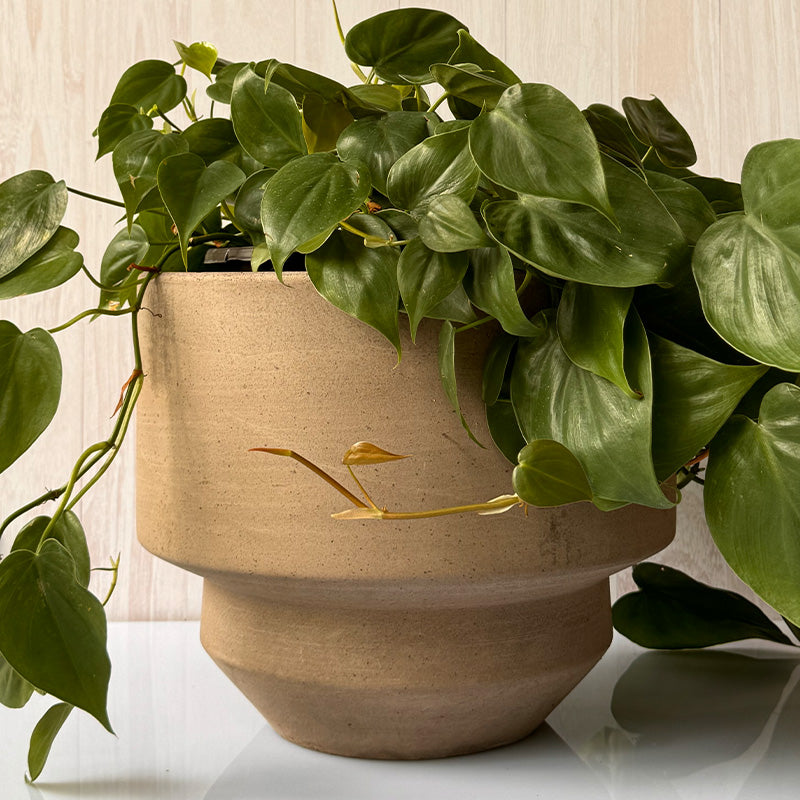 Maceta Italiana Bergs 30 cm Barro Raw Rosa/ Plato Barro Rosa