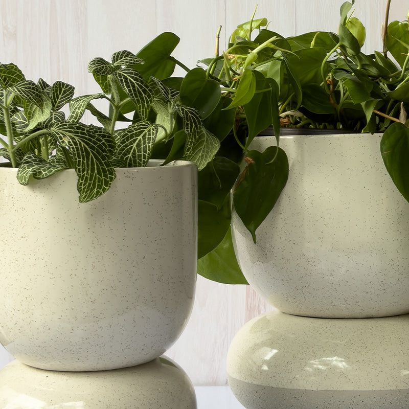 MACETA PEDESTAL CONCRETO, 25 CM.