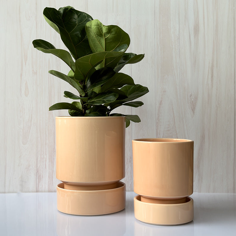 MACETA JADE PEDESTAL, 20 CM.