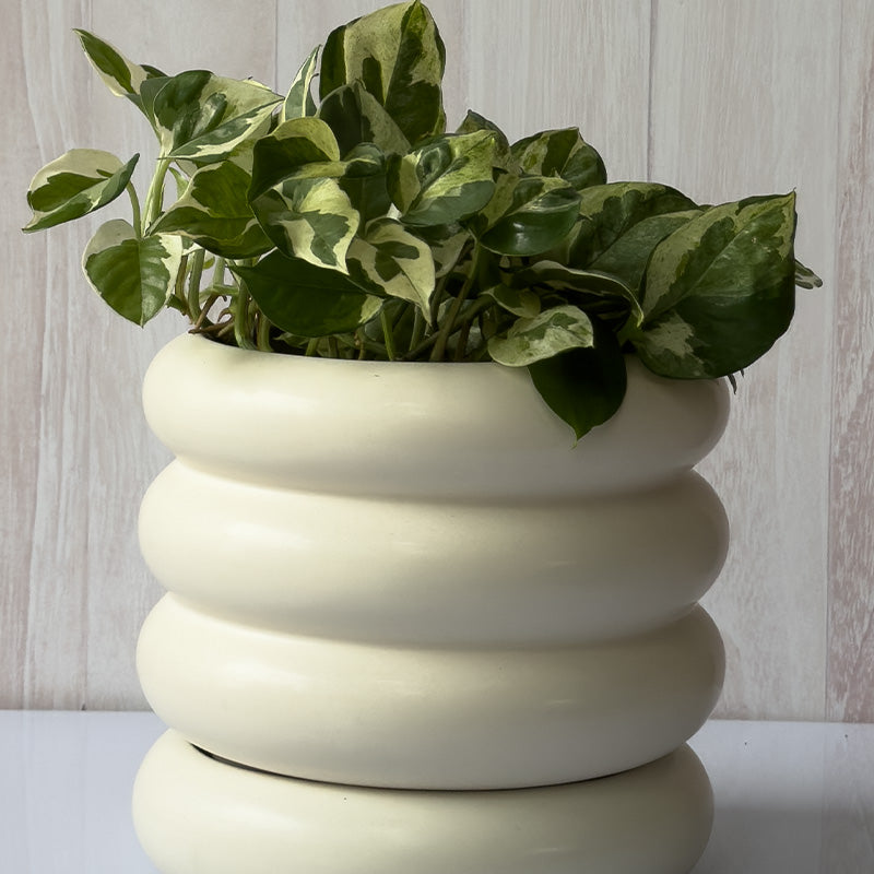 MACETA CERÁMICA NUBE 20 CM.