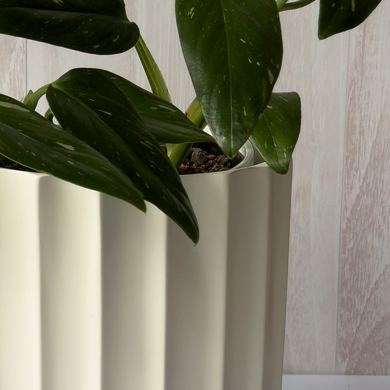 MACETA ONDAS BLANCA CERÁMICA 20 CM.