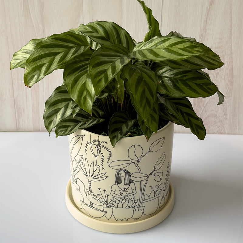 MACETA PLANTLADY DIBUJO CHICA