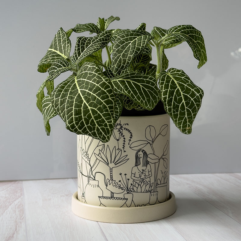 MACETA PLANTLADY DIBUJO CHICA