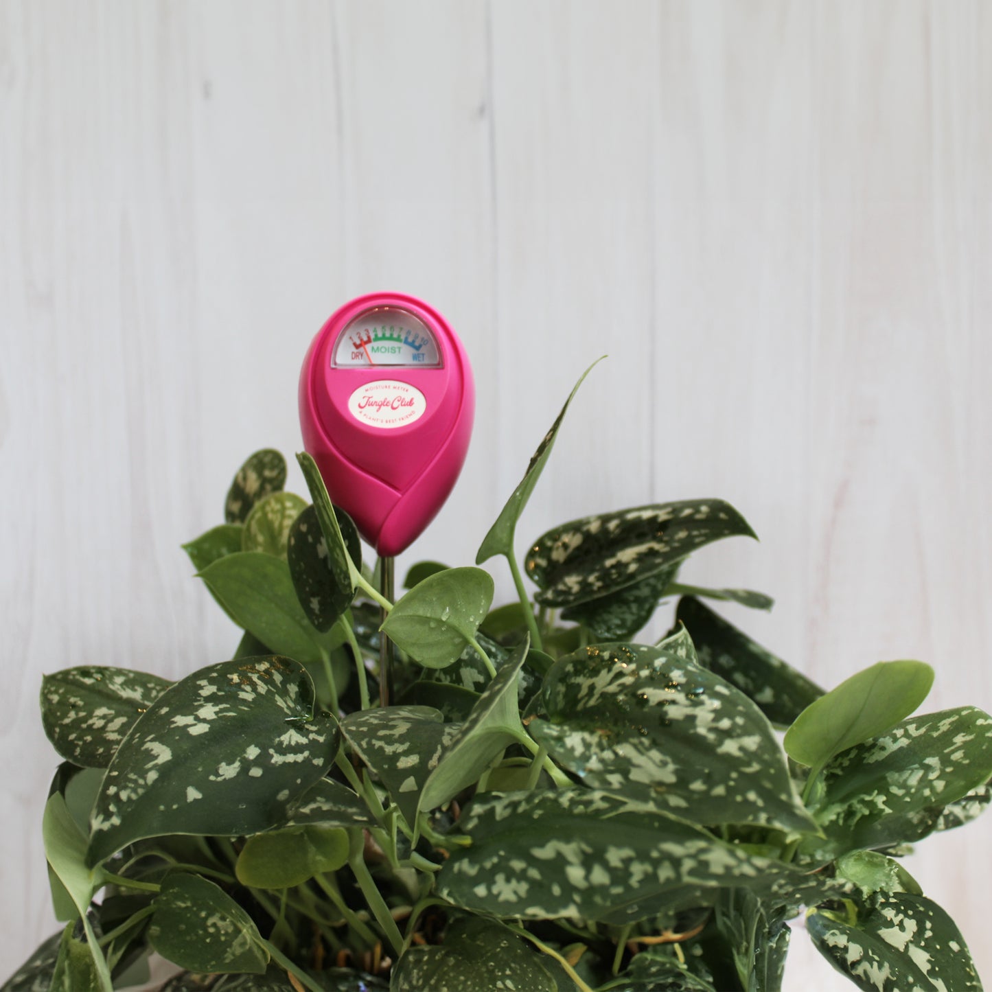 Accesorio Medidor Humedad Marca Jungle Club