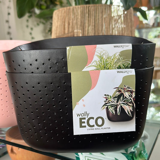 Maceta Eco Livingwall Espresso