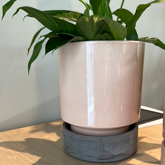 Maceta Bergs Italiana 18 cm Amarillo Glaceado/Plato Glaceado