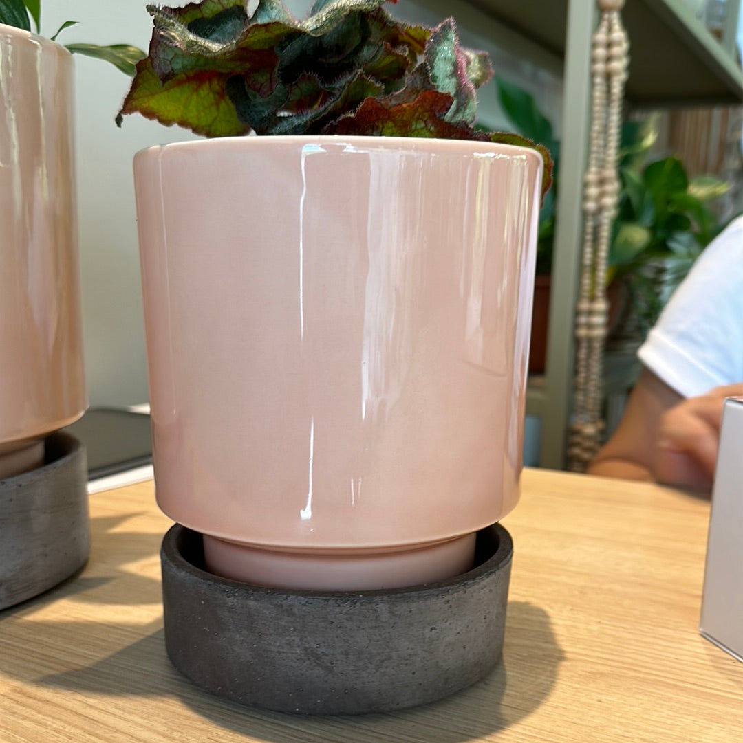 Bergs Italiana 14 cm Rosa Glaceado/Plato Barro