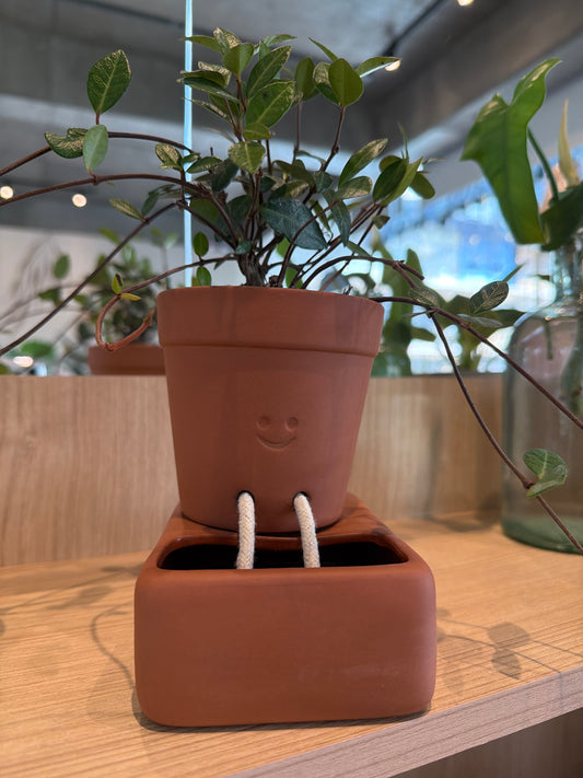 Macetas Pikki Autorriego