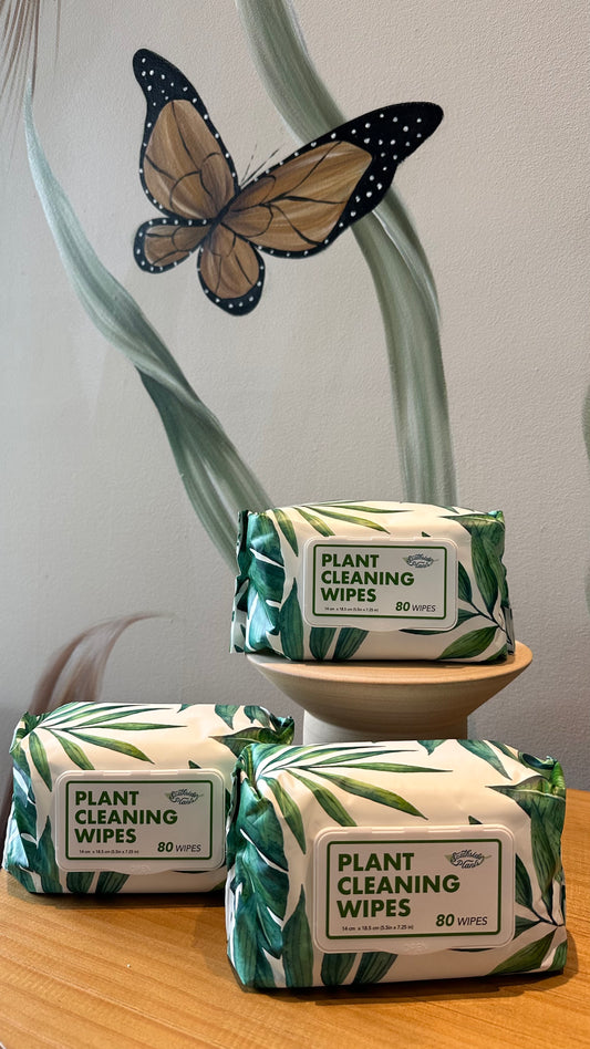 Accesorio Plant Wipes