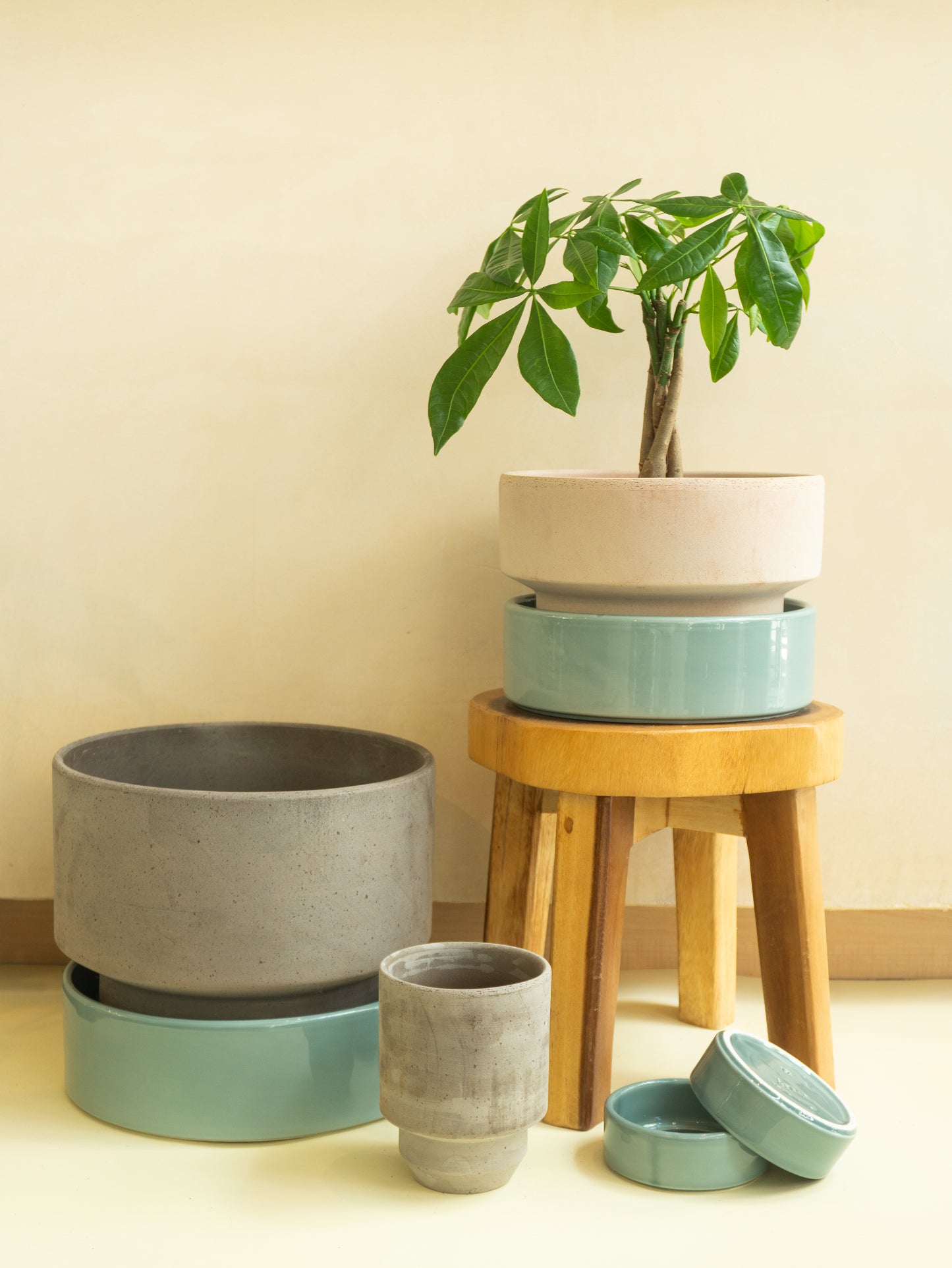Maceta Bergs 12 cm Gris Plato Azul Set