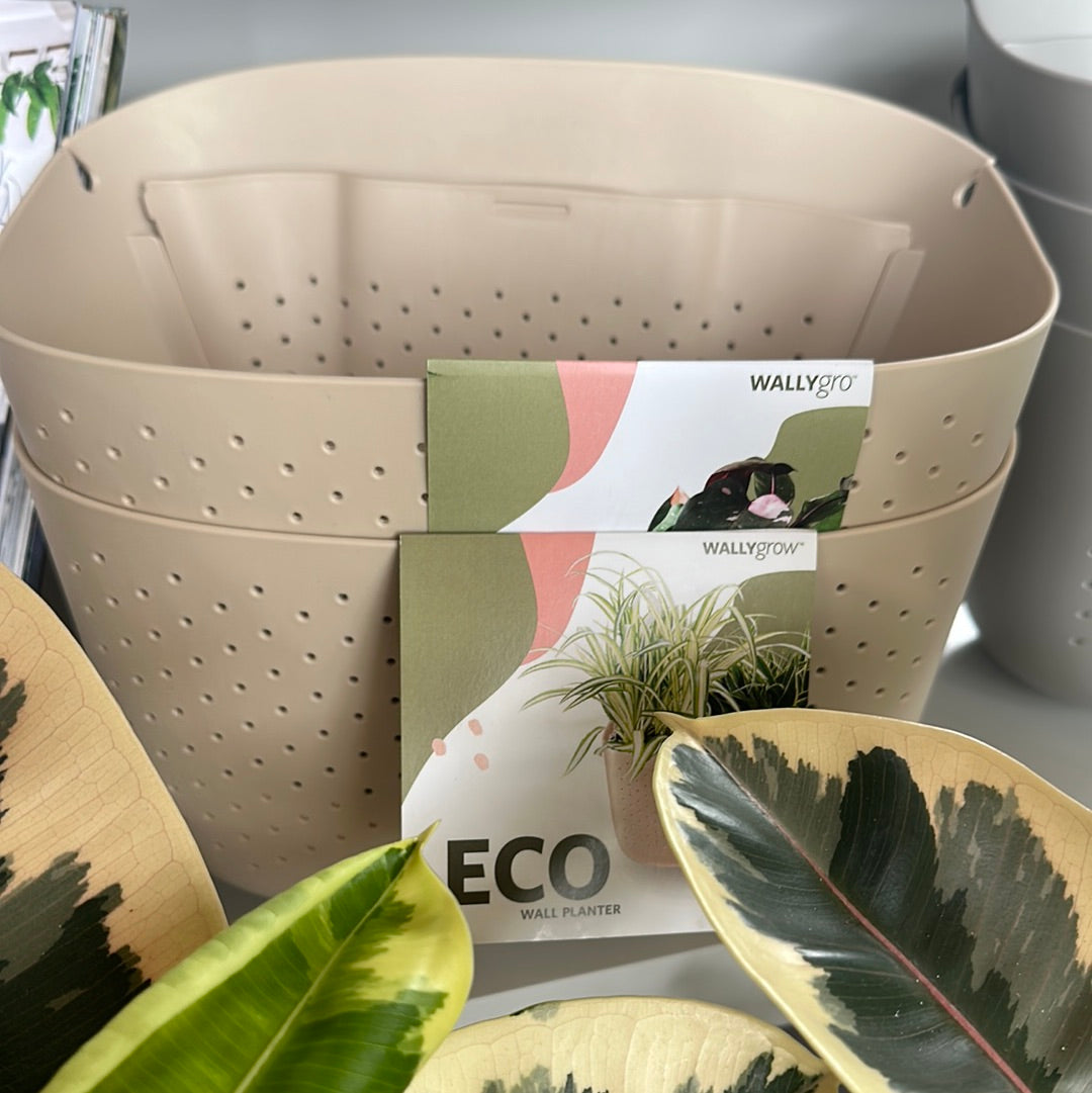 Maceta Eco Livingwall Nude