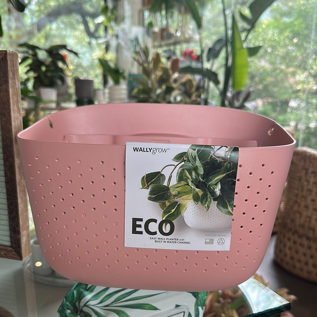 Maceta Eco Livingwall Rosa