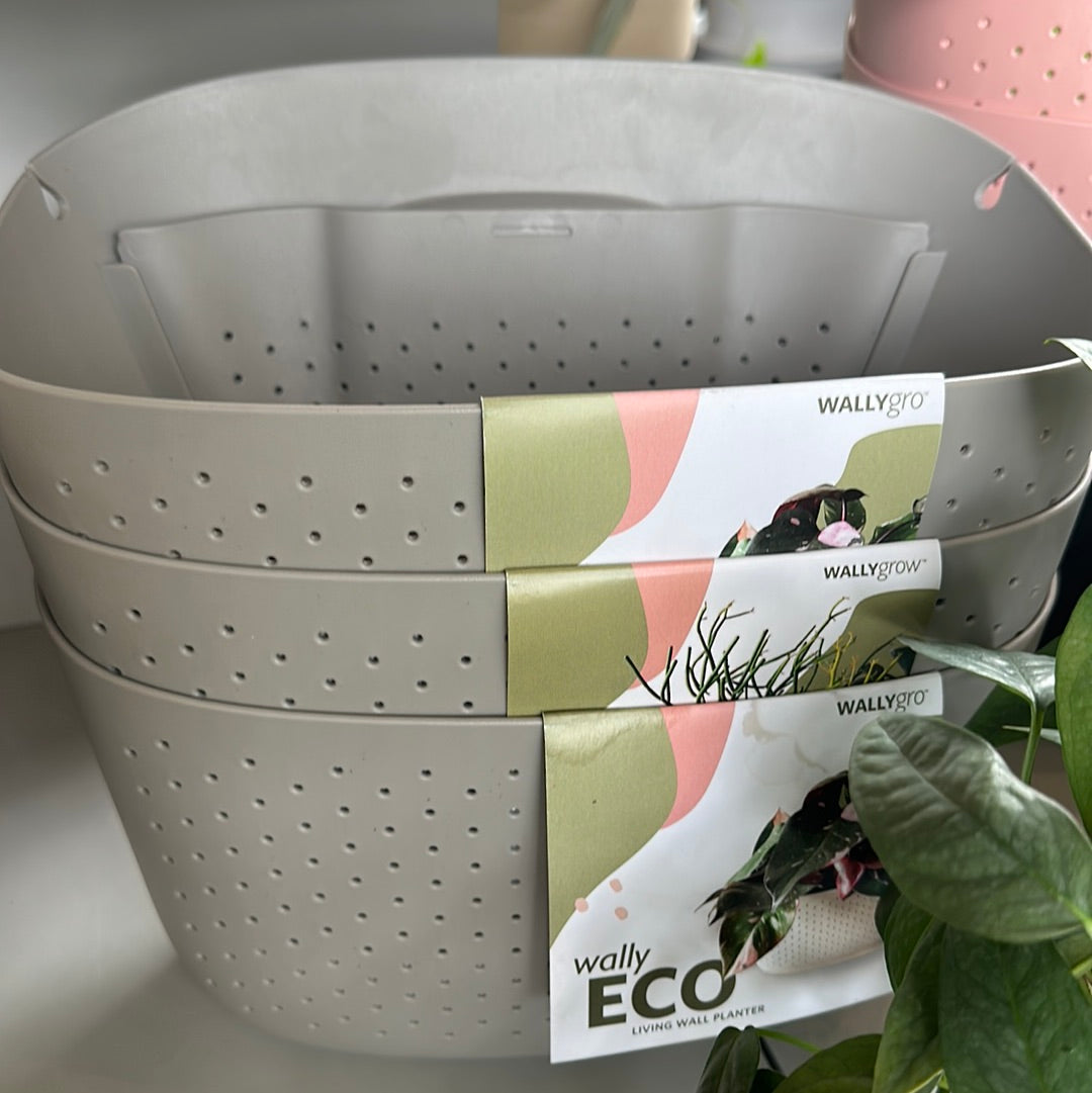 Maceta Eco Livingwall Gris