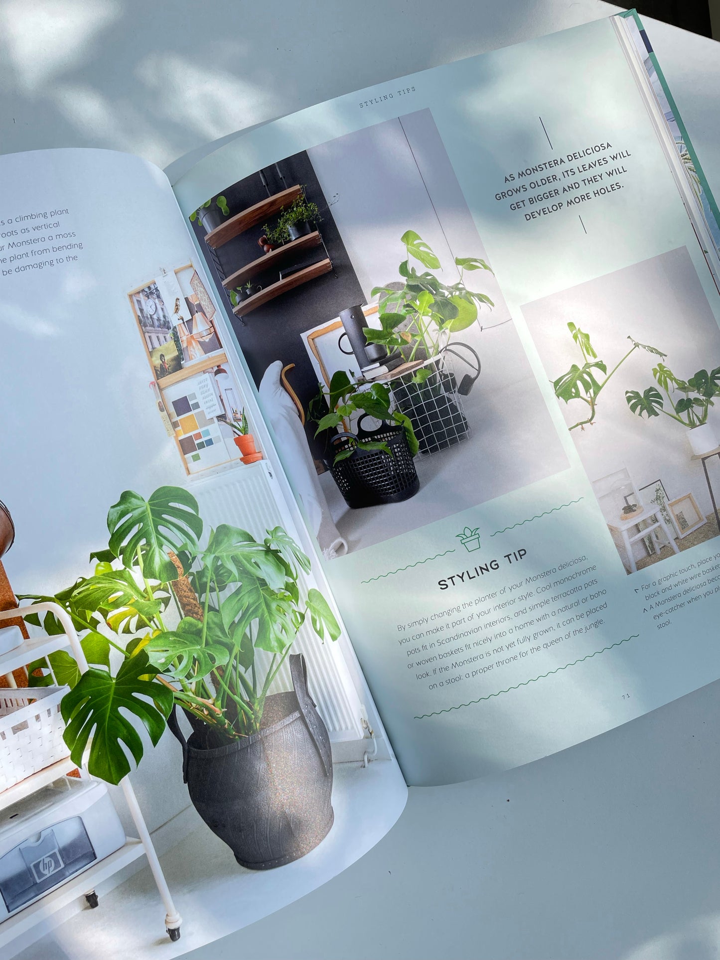 Libro Urban Jungle