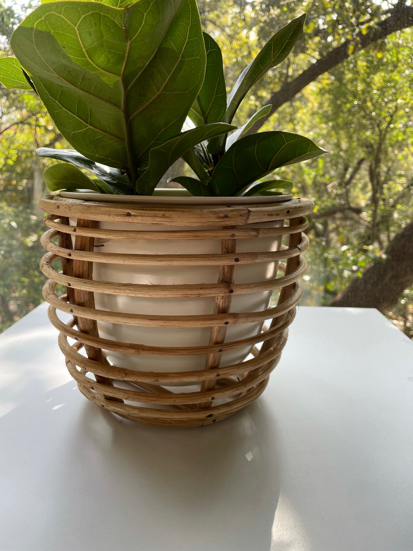 Maceta Ivory Metal Rattan